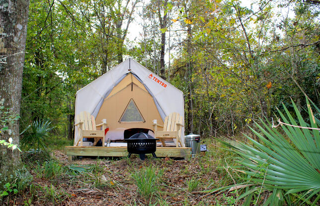 Glamping in the woods at Louisiana State Parks