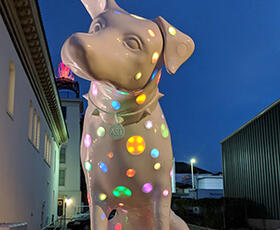 Glowing Dalmatian in Louisiana