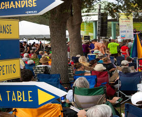 Experience the Cajun culture and especially the music at Lafayette's Festival Acadiens et Creoles